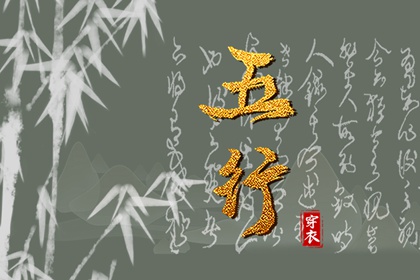 男双胞胎取名|起名社免费起名|名人五行起名|测八字起名字|男孩叶取名字